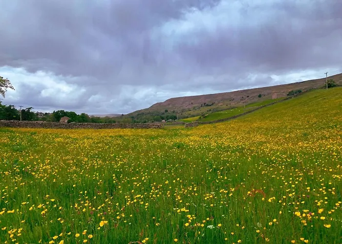 Dalesmoor Holiday home Reeth