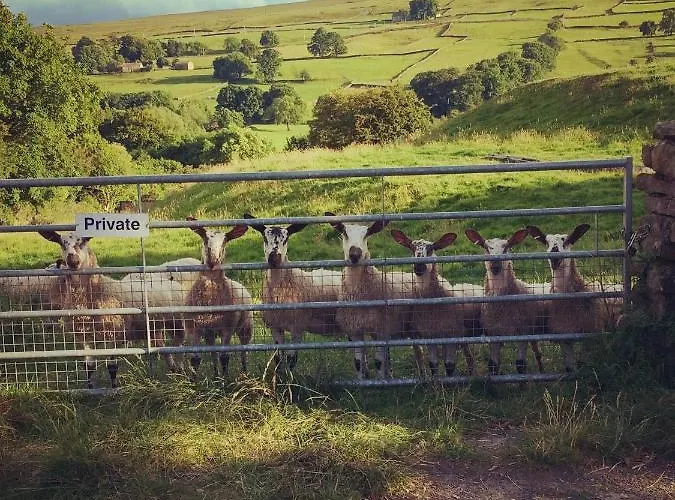 Dalesmoor Holiday home